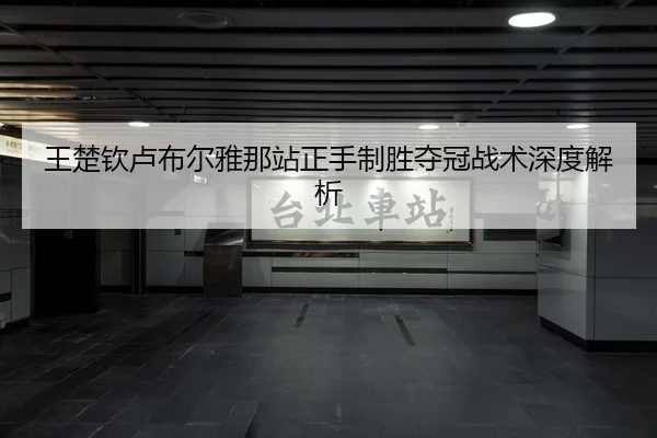 王楚钦卢布尔雅那站正手制胜夺冠战术深度解析