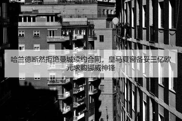 ha-lan-de-duan-ran-ju-jue-man-cheng-xu-yue-he-tong-huang-ma-xia-chuang-bei-tuo-san-yi-ou-yuan-qiu-gou-nuo-wei-shen-feng-2-435.jpg